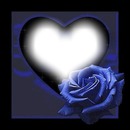 Coeur et rose bleus