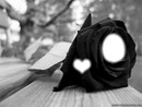 La rose noir
