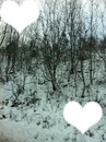 Neige avec coeur