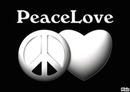 peace love bb