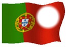 Drapeau Du Portugal