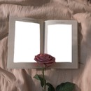 Mi libro y una rosa, 2 fotos