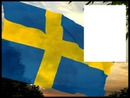 Sweden flag flying