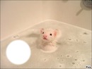 Mouse in bath