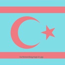 Türkmen Bayrağı Profil Fotoğrafı