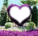 corazon violeta