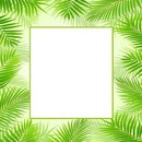 marco de palmas verdes.