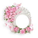 marco circular, rosas rosadas y mariposas.