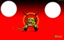 tamil flag