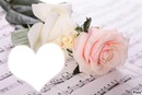 Deux roses sur des notes de musiques*