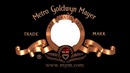 mgm logo 2001-2009