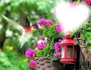 love hummingbirds