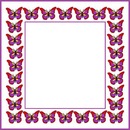 marco mariposas lila.