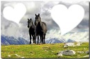 amor a caballo