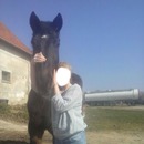 mon cheval et moi