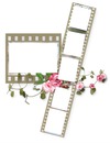 6 film frames with pink roses-hdh 1