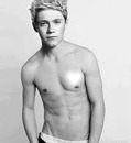 Niall Des One Direction