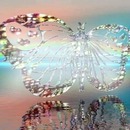 farfalla di cristallo