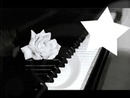 piano-rose-star