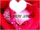 amour