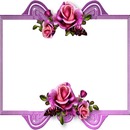 marco lila y rosas rosadas.