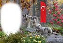 bozkurt türk bayrağı.