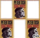 peter tosh