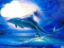 saut dauphin