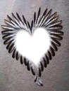 FEATHER HEART
