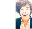 one direction Harry