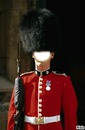 Garde Royale londonien.