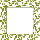 marco de hojas de olivo.