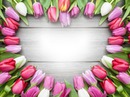 coeur tulipes