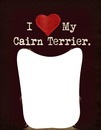 I love my cairn terrier