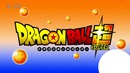 DRAGON BALL SUPER 2017