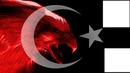 Türk Kartalı