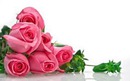 As rosas do Amor de Lugimila