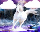 un cheval blanc 2 photos