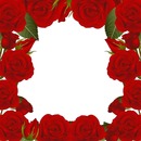 marco de rosas rojas.