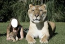 la leona y yo