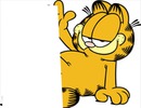 Garfield rectangle chat