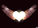 *L'amour donne des ailes*