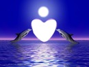 dauphin coeur lune
