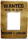 wanted