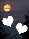 Coeurs battant sous la lune