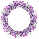 corona de flores, color lila, 1 foto.