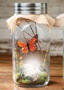 Botella con mariposa y flores