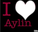 love aylin
