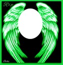 green wings