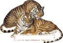 couple de tigres